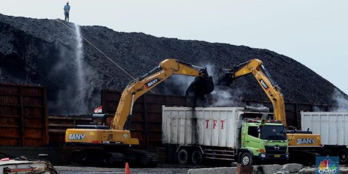 bongkar-muat-batubara-di-terminal-tanjung-priok-to-1-jakarta-utara-4_169 Foto: Bongkar Muat Batu bara di Terminal Tanjung Priok TO 1, Jakarta Utara. (CNBC Indonesia/ Tri Susilo)