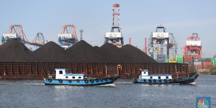 Foto: Kapal tongkang Batu Bara (CNBC Indonesia/Tri Susilo)