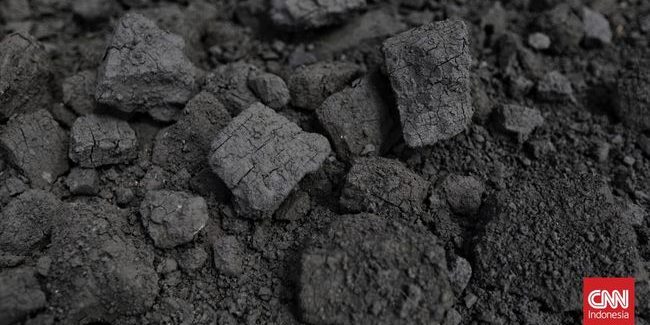 tarik-ulur-kebijakan-batu-bara-12_169